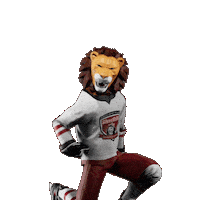 Hockey Hokej Sticker by Tipsport extraliga