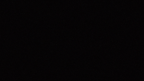 MatthewHenryDesign giphyupload orion alan partridge Partridge GIF