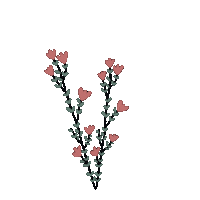 Pastel Rosa Sticker