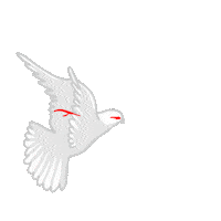 Bird Flying Sticker by dieselraptor