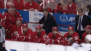 nhl GIF by SB Nation