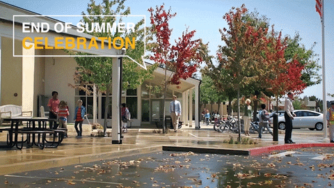 hondaendofsummer GIF by Central Valley Honda Dealers