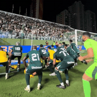 Goiasec GIF
