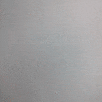 animation art GIF by Evan Hilton