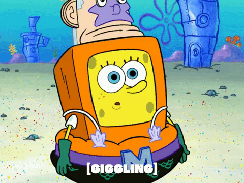 season 6 GIF by SpongeBob SquarePants