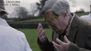 Bad Day In My Eye GIF by All Creatures Great And Small