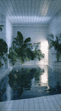 Wave Vapor GIF by Database數據