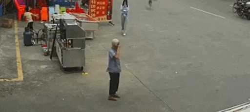 cuteanimalland giphyupload GIF