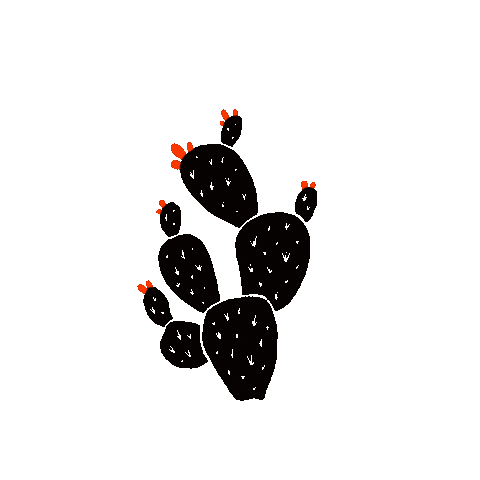 Stillstone giphyupload texas western cactus Sticker