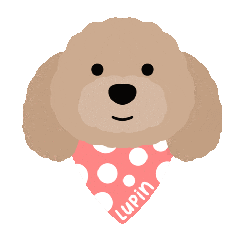 Toy Poodle Sticker
