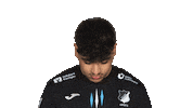 Look Up Tsg Hoffenheim Sticker by Bundesliga