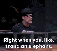 Todd Stashwick GIF by The Dungeon Run