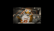 Princeton Annual Giving GIF by Princeton University