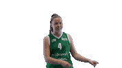 Sport Basketball Sticker by Basket_fi