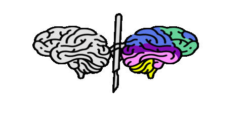 Bingo 박은빈 Sticker