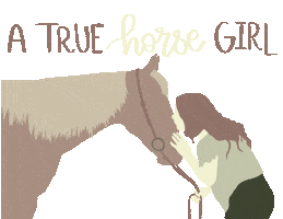 Horse And Rider Sticker by Molly Virginia Morris Photography