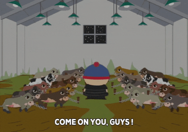 carrying stan marsh GIF by South Park 