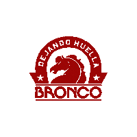 Dejandohuella Sticker by Grupo Bronco