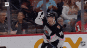 Happy Lets Go GIF by NHL