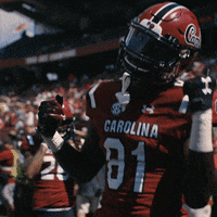 South Carolina Gamecocks Dancing GIF by gamecocksonline