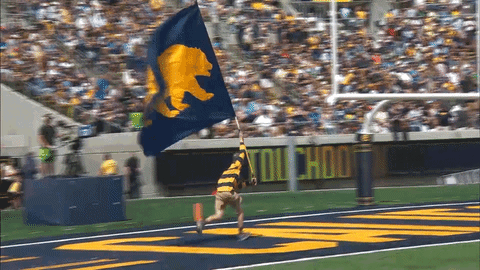 roll on you bears GIF
