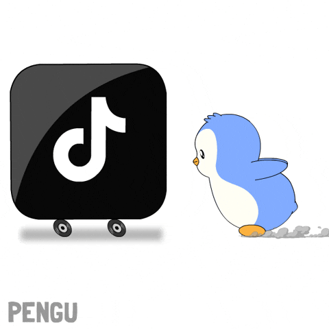 Scrolling Tik Tok GIF by Pudgy Penguins