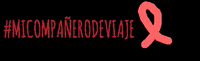 micompanerodeviaje micompanerodeviaje GIF