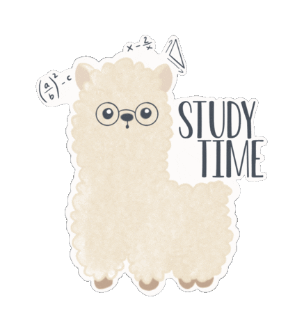 alledams giphyupload study math alpaca Sticker
