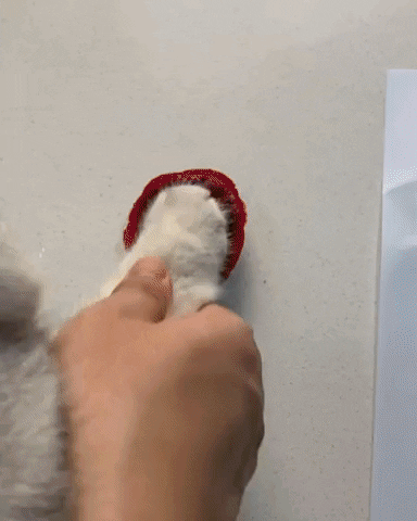 cuteanimalland giphyupload GIF