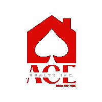 Realtor Realestate Sticker by ACE Realty Inc.