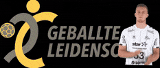 Handball Handballaustria GIF by natascha
