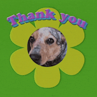Thank You, From Jelly