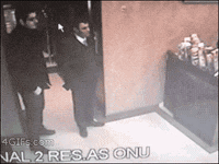 cats lgbt GIF