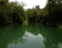 landscape GIF by Jaime Martinez