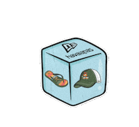 Newera Sticker by Havaianas