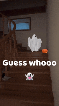 Pranktober GIF by Flickplay