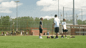 Go Over There GIF by Rawlings Tigers