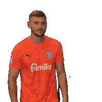 2 Bundesliga Football Sticker by Holstein Kiel
