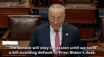 Chuck Schumer GIF by GIPHY News