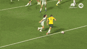 Caitlin Foord Goal GIF by Football Australia