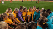 Huddle GIF by Football Australia