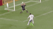 San Jose Football GIF by San Jose Earthquakes