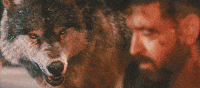 Mad Eye Of The Tiger GIF by Hrithik Roshan