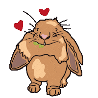 Bunny Rabbit Sticker