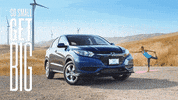gosmallgetbig GIF by Central Coast Honda Dealers