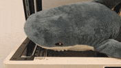 comspace bored office alone shark GIF