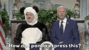 Snl GIF by Saturday Night Live