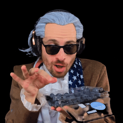 Berry Blueberry GIF