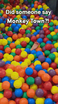 Playground Suprise GIF by Monkey Town