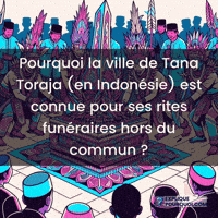 Tana Toraja GIF by ExpliquePourquoi.com